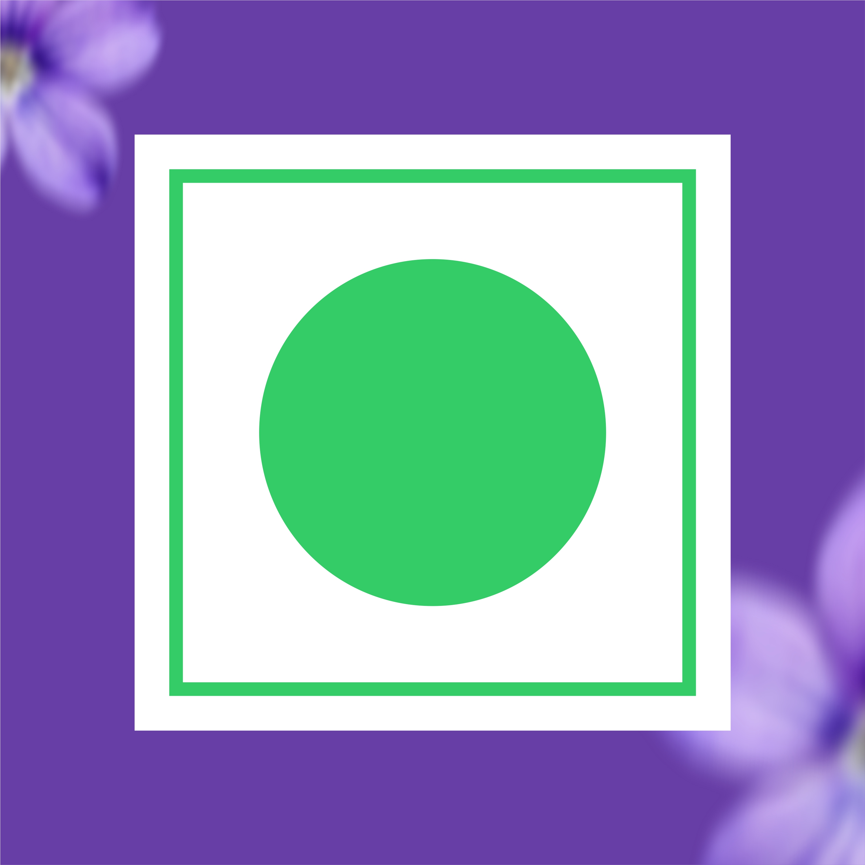 Lavender Buds Herbal Tea thumbnail 10
