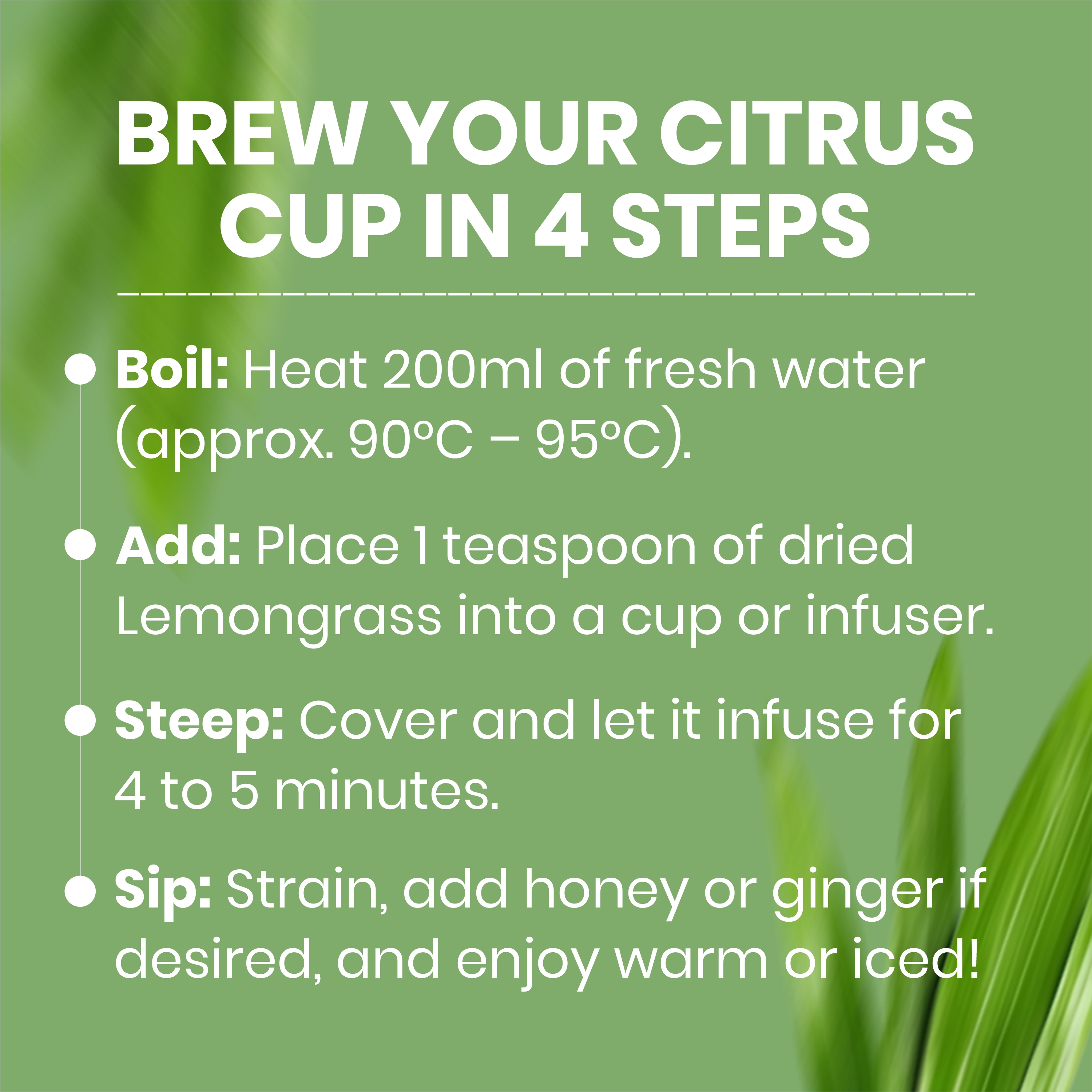 Lemongrass Ginger Herbal Tea thumbnail 7