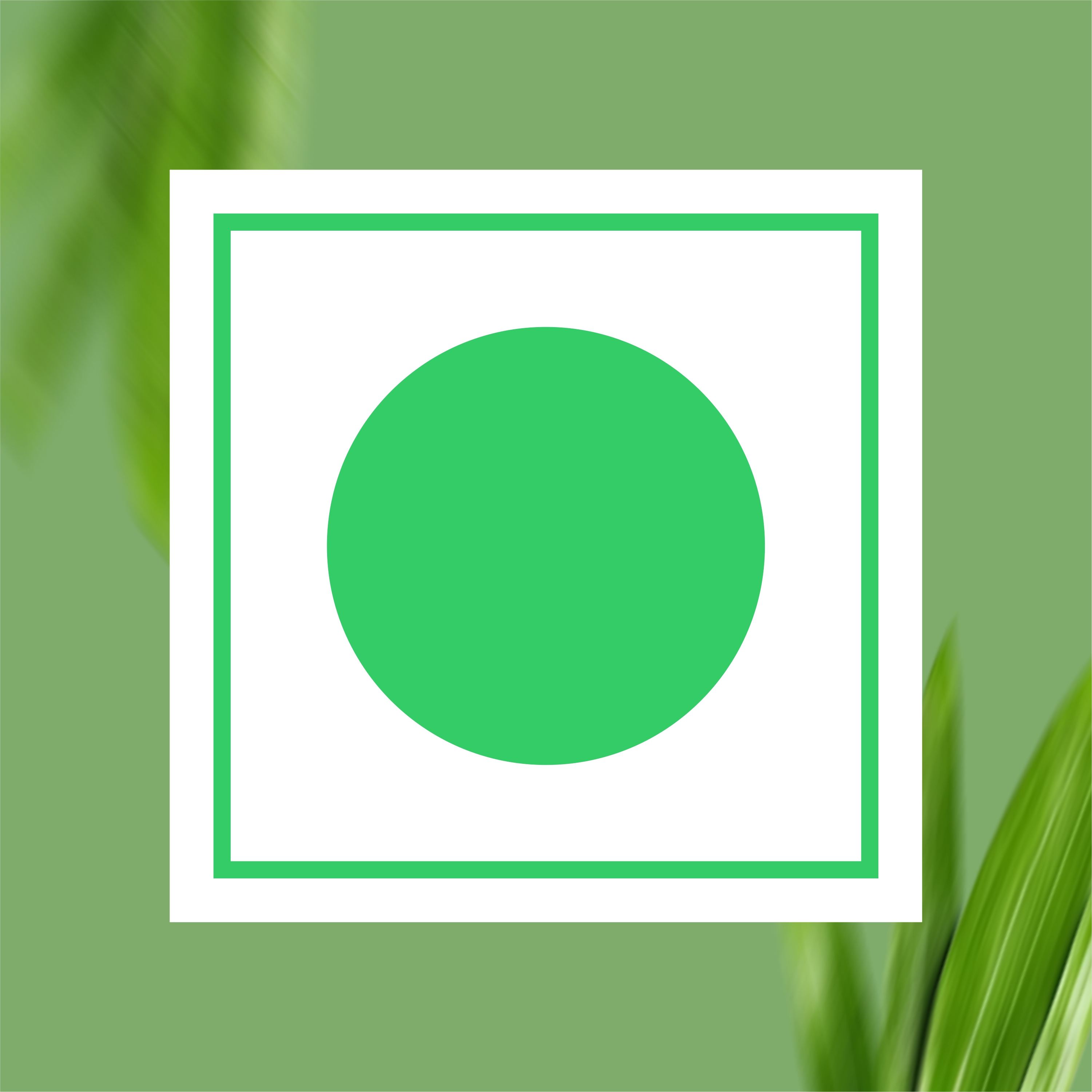 Lemongrass Ginger Herbal Tea thumbnail 9