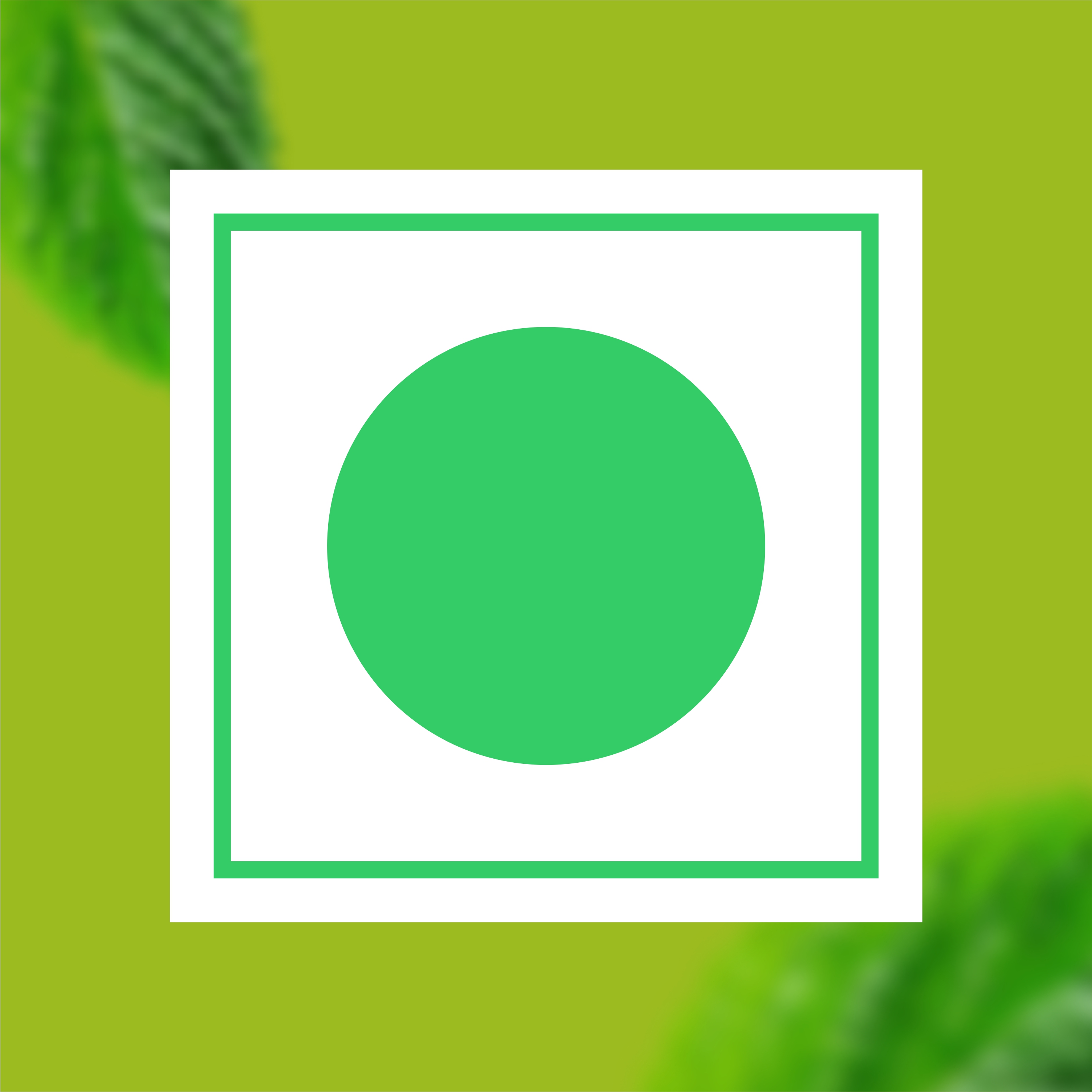 Spearmint Peppermint Herbal Tea thumbnail 10