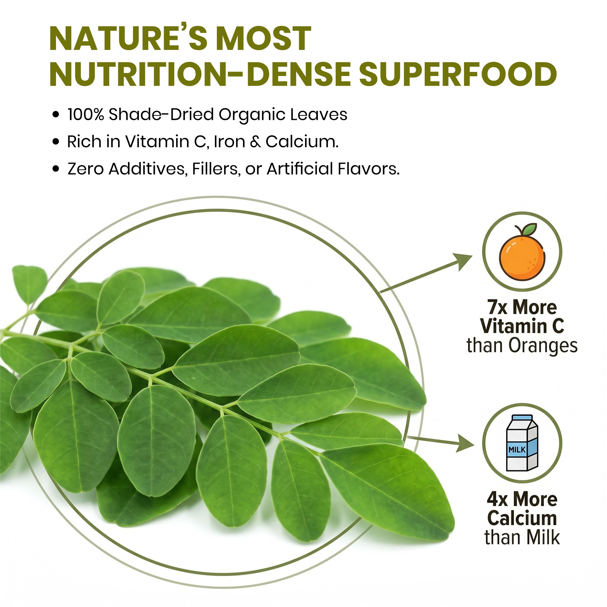 Moringa Leaf Herbal Tea thumbnail 2
