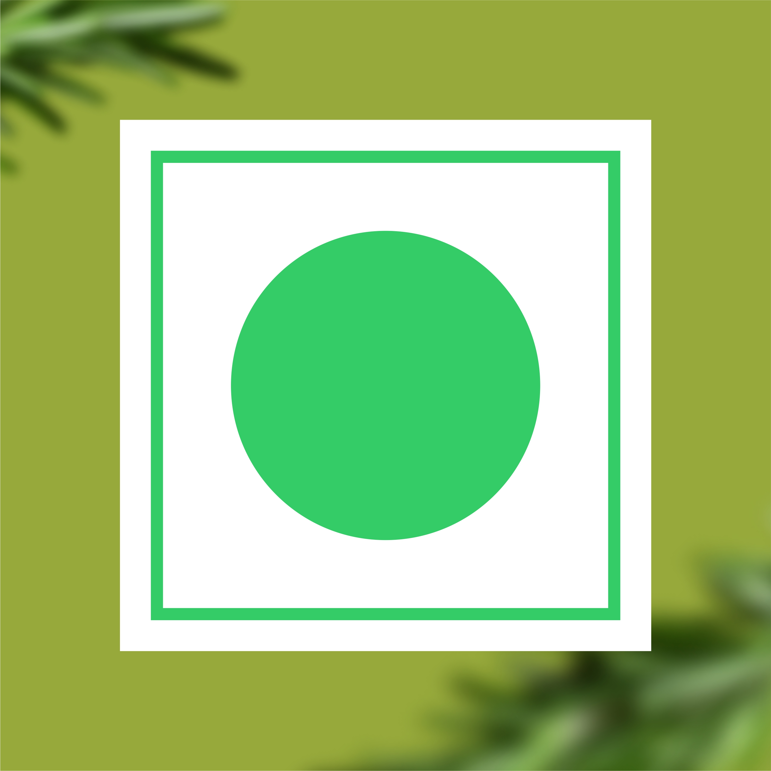 Rosemary Leaf Herbal Tea thumbnail 10