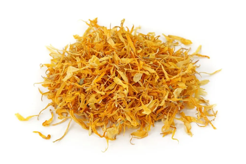 Marigold (Calendula)