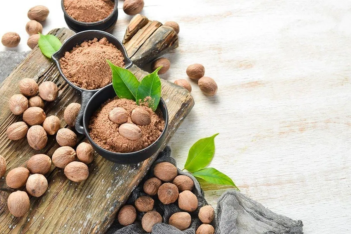 Botanical extraction facility Modern botanical extract manufacturing process