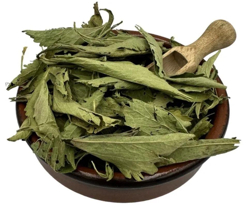 Bulk dried herbs in storage Organic bulk herbs ready for commercial distribution