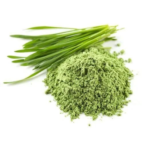 Wholesale herb packaging Organic herbs packaged for export